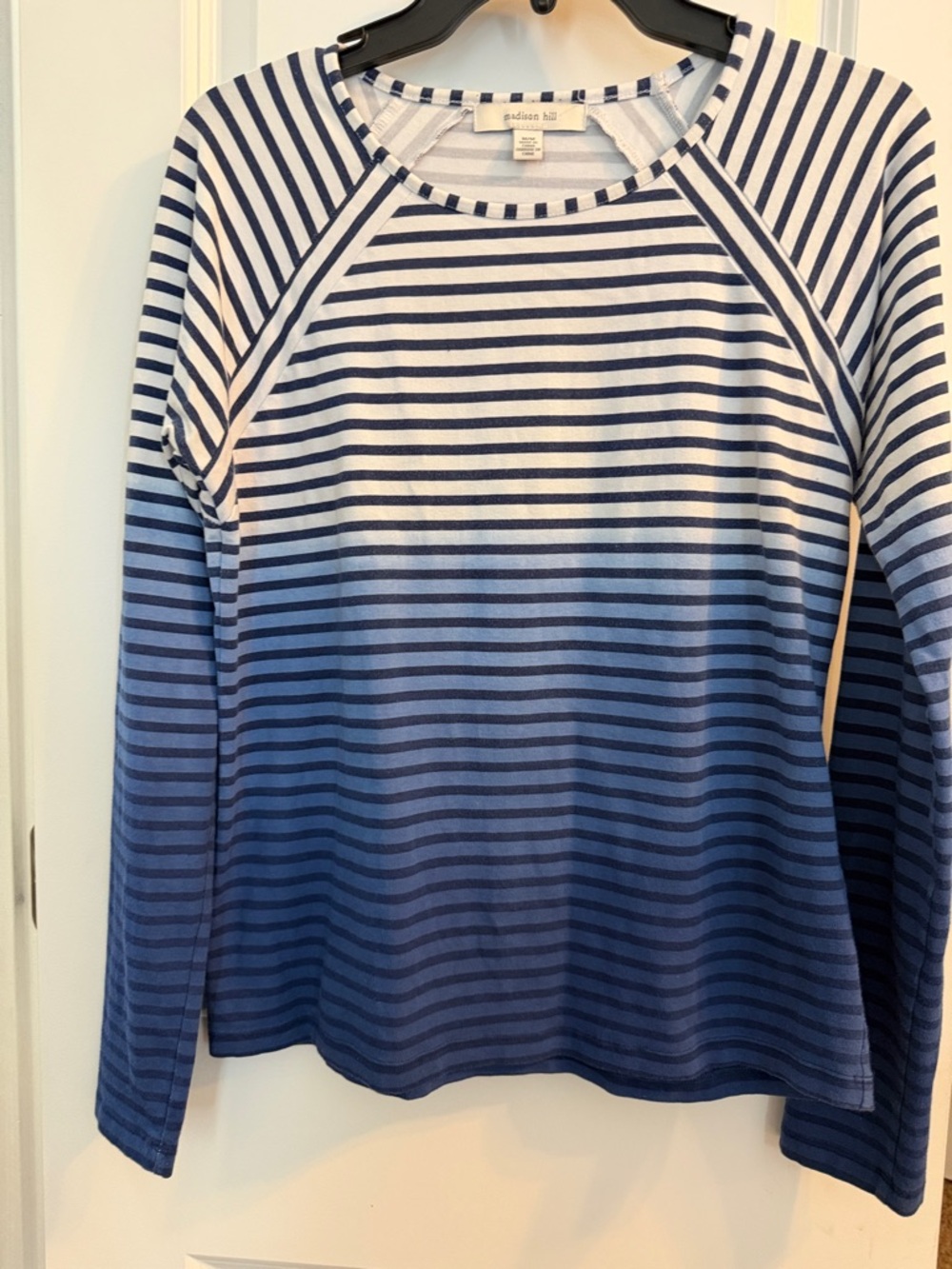 Blue Ombre Striped Raglan Long Sleeve Top brand is Madison Hill